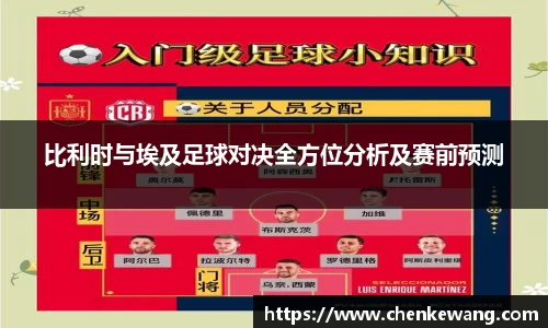 比利时与埃及足球对决全方位分析及赛前预测